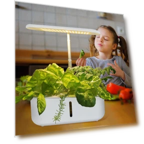 Smart Grow Light for Plants — Growing Lamps, Thunder And Fire