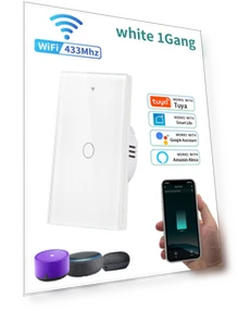 WiFi Smart Switch — Smart Home Hubs & Controllers, Build My Home