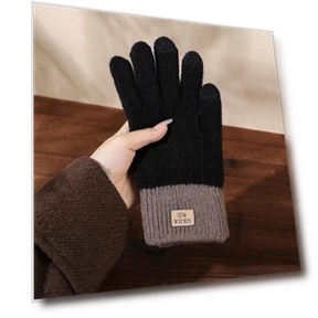 Winter Touchscreen Gloves — Gloves, Shan Qiao
