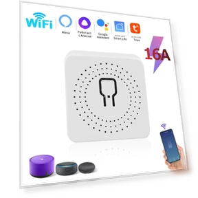 2-Position Mini Smart Switch — Smart Home Modules, Rainbow Rain