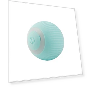 Automatic Rolling Ball Cat Toy — Cat Playthings, Simplistic Living Home