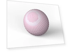 Automatic Rolling Ball for Cats — Cat Playthings, Simplistic Living Home