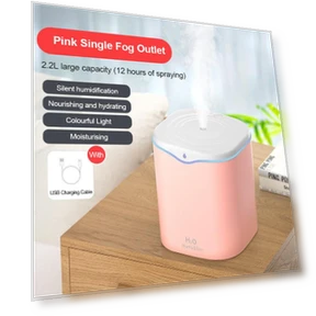 Double Air Humidifier with Spray — Air Moisturizers, Leisury