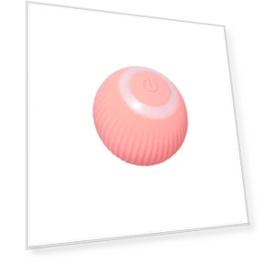 Interactive Pet Ball — Interactive Animal Companions, Super Dream Home