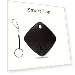 Mini Tracking Device — Location Tracking Devices, Lntelligent Living Hall