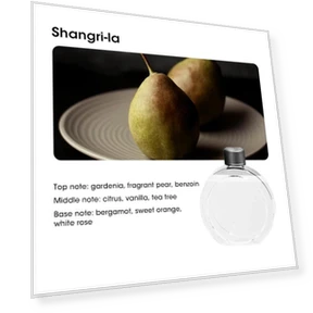 Smart Aroma Diffuser Air Purifier — Diffusers, HIMO Group