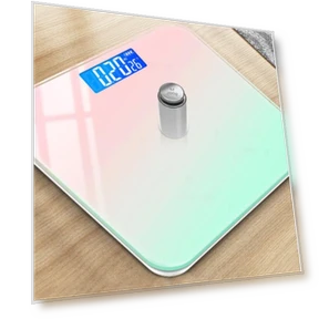 Smart Bathroom Scale with Body Fat Measurement — Weight Management Tools, Build My Home