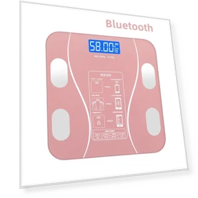 Smart Bathroom Scale — Weight Management Tools, Build My Home