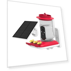 Smart Bird Feeder with Camera — Outdoor & Wildlife Cameras, Build My Home