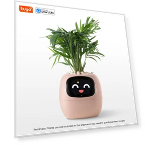 Smart Pot Ivy — Plants & Greenery, Cozy Cottage-Relax