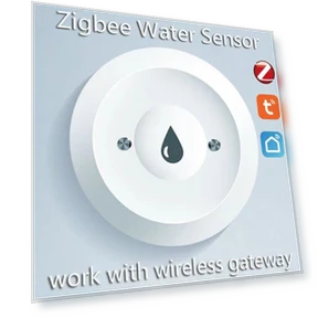 Smart Water Sensor — Water Leak Detection Systems, Super Dream Home