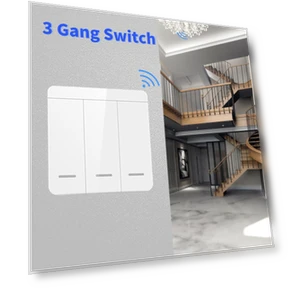 WiFi Smart Switch — Smart Home Modules, Lntelligent Living Hall