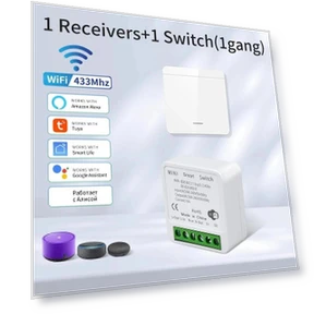 WiFi Smart Switch — Smart Home Modules, Rainbow Rain