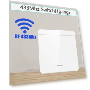 WiFi Smart Switch — Smart Home Modules, Lntelligent Living Hall