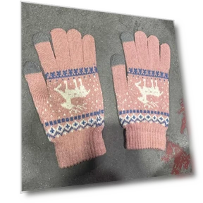 Winter Touchscreen Gloves — Gloves, One-point-three