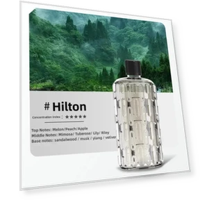 Automatic Aromatic Machine — Air Moisturizers, Cozy Cottage-Relax
