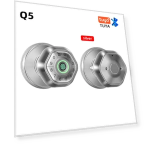 Electronic Smart Lock with Fingerprint — Smart Home Security, Super Dream Home