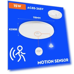 LED Ceiling Light with Motion Sensor — Overhead Lighting, AE Selection