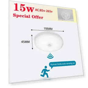 LED Ceiling Light with Motion Sensor — Overhead Lighting, AE Selection