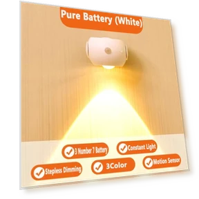 LED Motion Sensor Wall Light — Night Lights, AE Selection