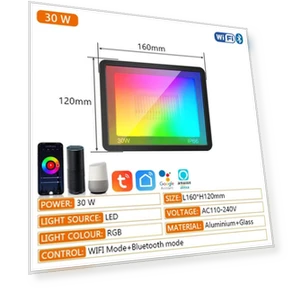 RGB TUYA Floodlight — Outdoor Security & Flood Lighting, AE Selection