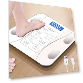 Smart Bluetooth Body Fat Scale — Weight Management Tools, Stone Home