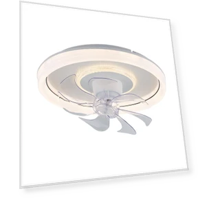 Smart Ceiling Fan with Light — Ceiling Fan Lighting Solutions, Seahorse Home