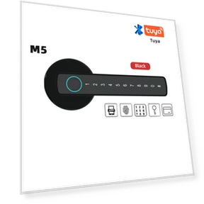Smart Door Lock with Fingerprint — Smart Home Security, Super Dream Home