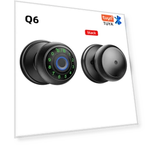 Smart Door Lock with Fingerprint — Smart Home Security, Super Dream Home