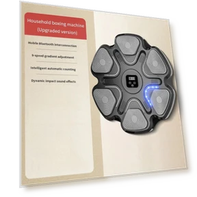 Smart Musical Boxing Trainer — Boxing Training Gear, Wrigleys