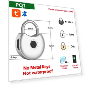 Smart Padlock — Padlocks & Hasps, RAYKUBE