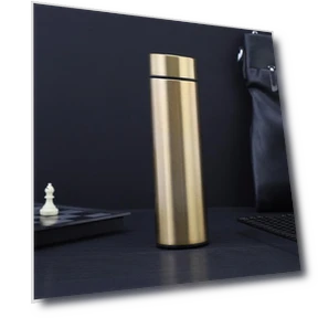 Stainless Steel LED Vacuum Thermos Cup — Travel Drinkware, Indoor Furniture