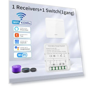 WiFi Smart Switch with Remote Control — Smart Home Modules, Super Dream Home
