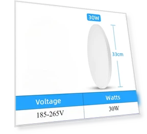 LED Ceiling Light with Radar Sensor — Garden Illumination, Build My Home