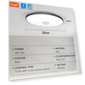 LED Music Ceiling Light — Overhead Lighting, Home Of Auto Parts