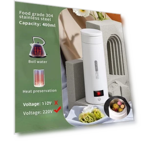 Portable Electric Kettle — Beverage Warmers, DC-HOME-4