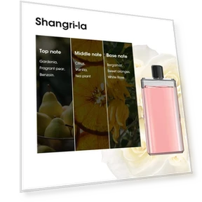 Smart Aromatherapy Diffuser with Night Light — Diffusers, Super Star Mall