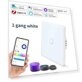 Smart Light Switch — Smart Home Modules, Rainbow Rain