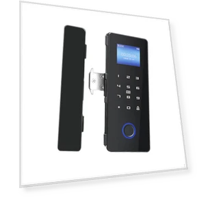 Advanced Biometric Door Lock — Biometric Security, Handy Hobbies