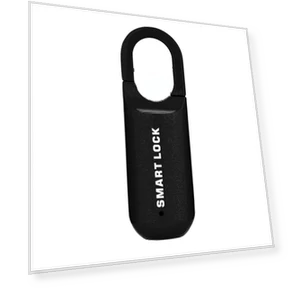 Fingerprint Lock USB Smart Cabinet Keyless Lock — Luggage Locks, JOHO - CarGear