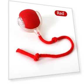 Interactive Electric Pet Toy — Cat Playthings, Pawstrip