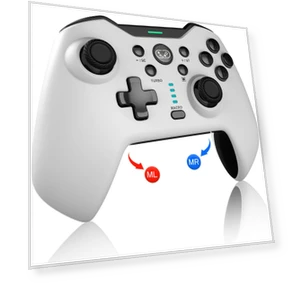 Programmable Wireless Controller — Gaming Controllers, Super Dream Home