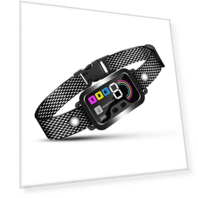 Smart Dog Collar with Bark Control — Anti-Bark Training Devices, Seahorse Home