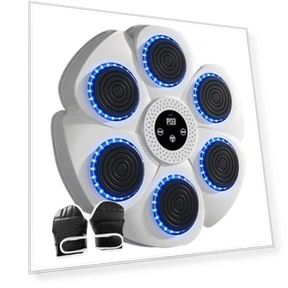Smart Musical Boxing Trainer — Boxing Training Gear, Super Star Mall