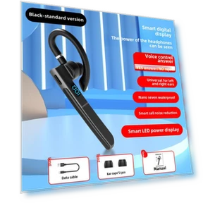 Bluetooth Earbuds — Audio Gear, SmartGears