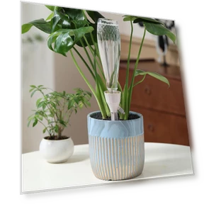 Japanese Style Drip Irrigation Device — Drip Kits, AI Supermarket