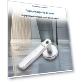 Smart Door Lock with Fingerprint Scanner — Padlocks & Hasps, Apex Gear
