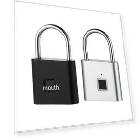 Smart Lock with Fingerprint — Smart Home Security, Apex Gear