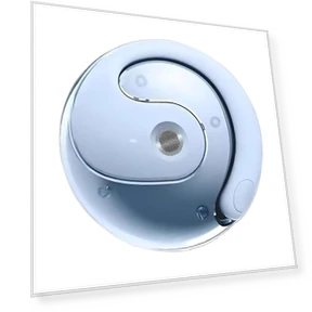 Bluetooth Translator Earbuds — Language Translators, Chic Home
