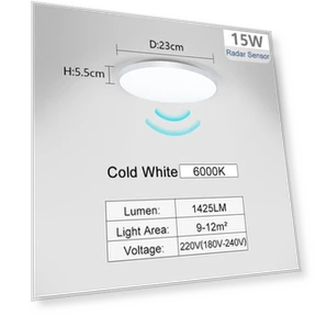LED Ceiling Light with Radar Sensor — Overhead Lighting, Rainbow Rain